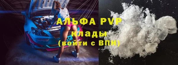 стафф Арсеньев