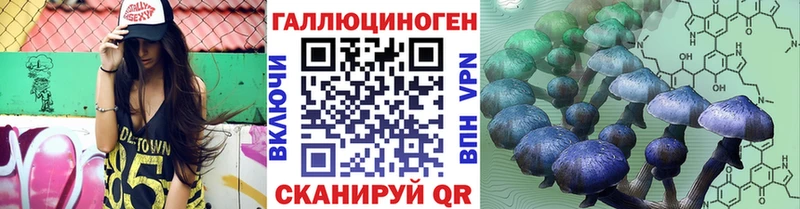 где продают   Иннополис  Галлюциногенные грибы Magic Shrooms 